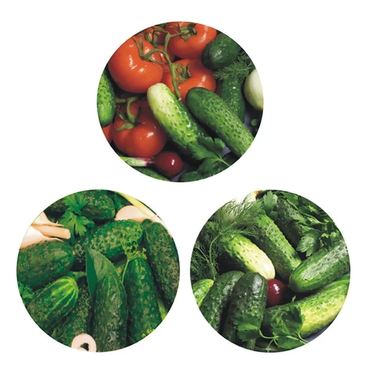 Zakrętki do słoików na przetwory 8,2 cm ogórki zestaw 100 szt - 6-zaczepowe Altom Design