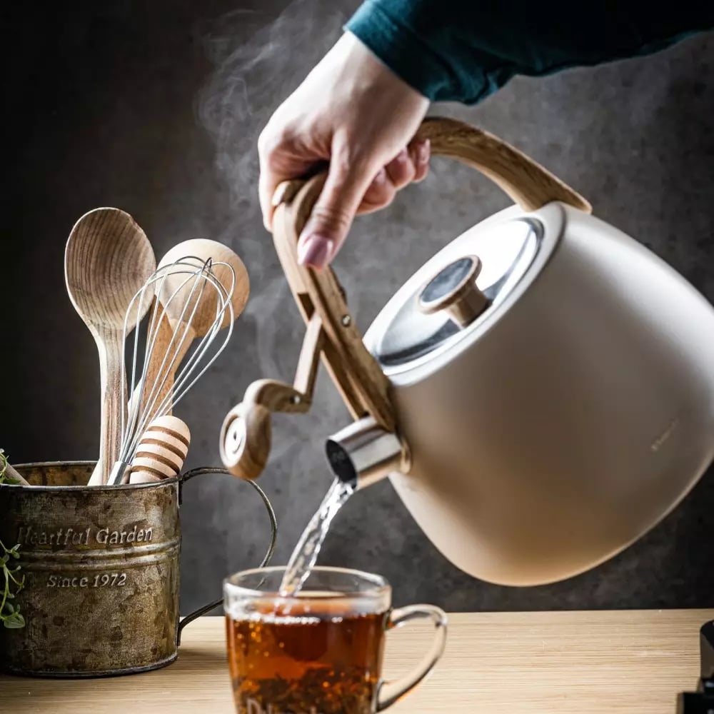 Czajnik z gwizdkiem tradycyjny stalowy 2.5L gaz indukcja beżowy matowy Klausberg