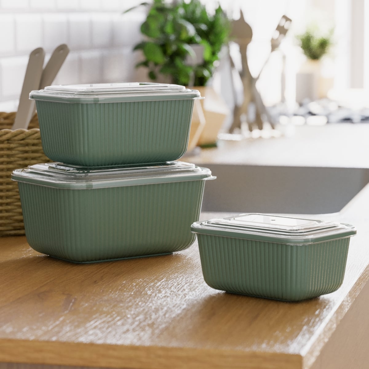 Komplet pojemników plastikowych do przechowywania żywności 3 szt lunchbox 600/1100/1800 ml Tragar